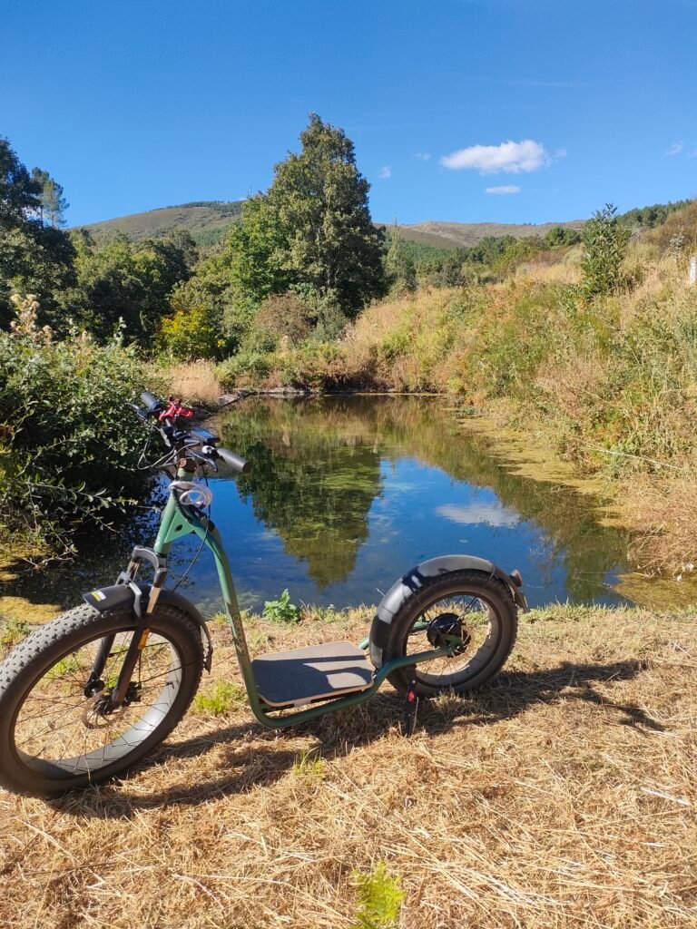 Alquiler-de-Bicicletas